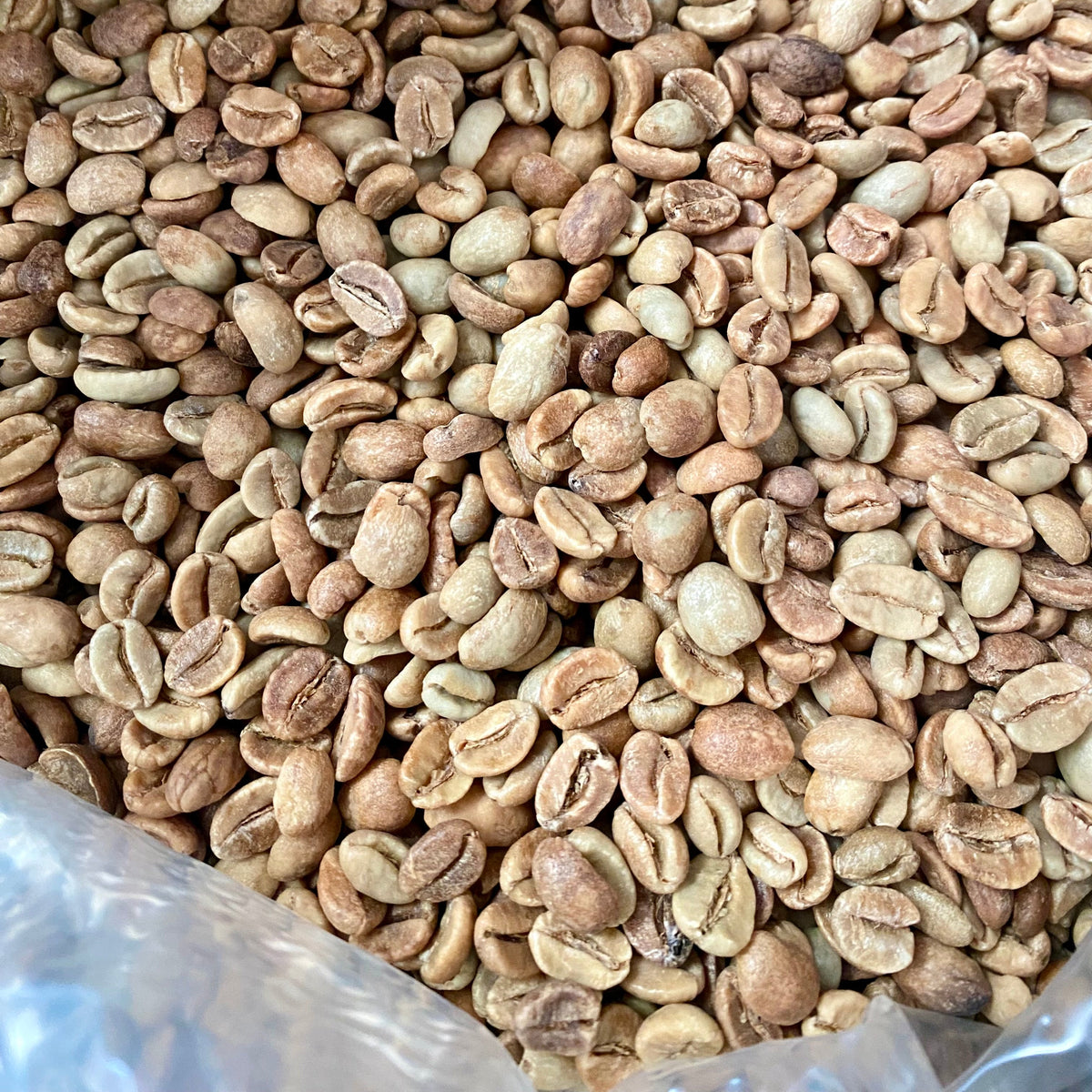 Colombian Campo Hermoso Wush Wush natural process green coffee beans